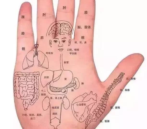 遵义市绥阳县安利专卖店详细地址查询电话