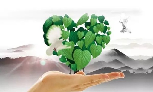 人活着，如果健康的身体没了、命也没了，那么“钱”的价值在哪里